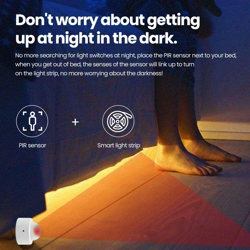 Motion Sensor Smart Switch Pet Detector