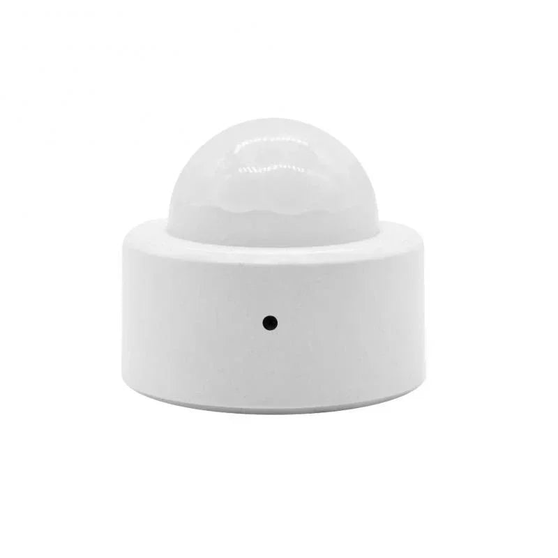 Motion Sensor Smart Switch Pet Detector