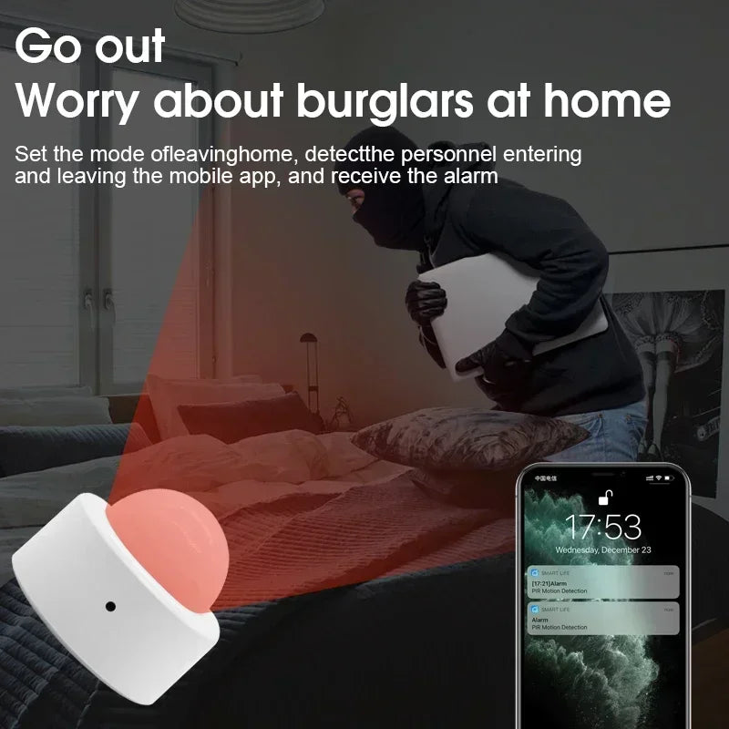 Motion Sensor Smart Switch Pet Detector