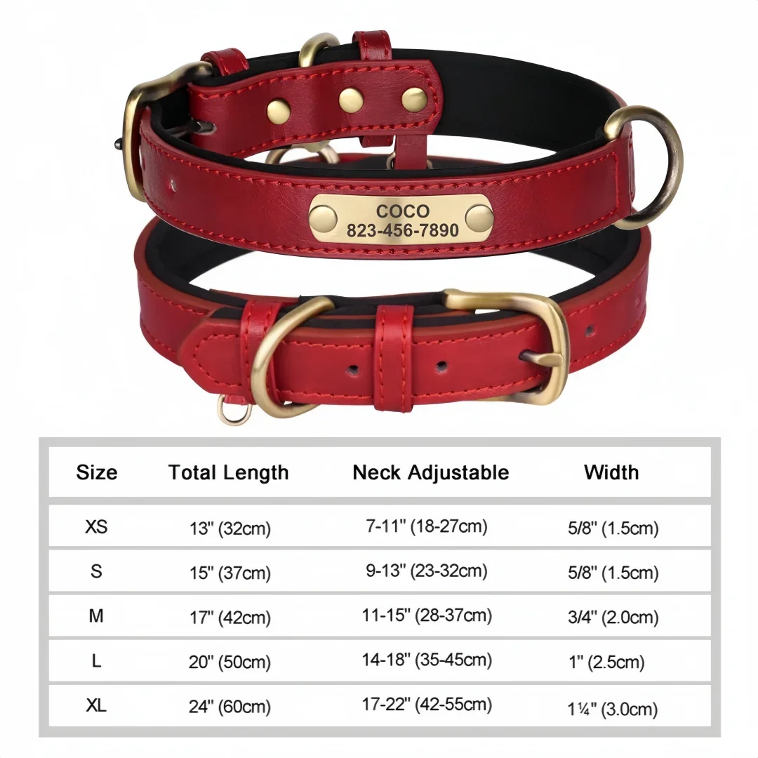 Soft Padded Leather Pet Collar For Small Medium Large Dogs Free Engraved Nameplate