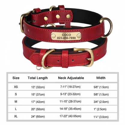 Soft Padded Leather Pet Collar For Small Medium Large Dogs Free Engraved Nameplate