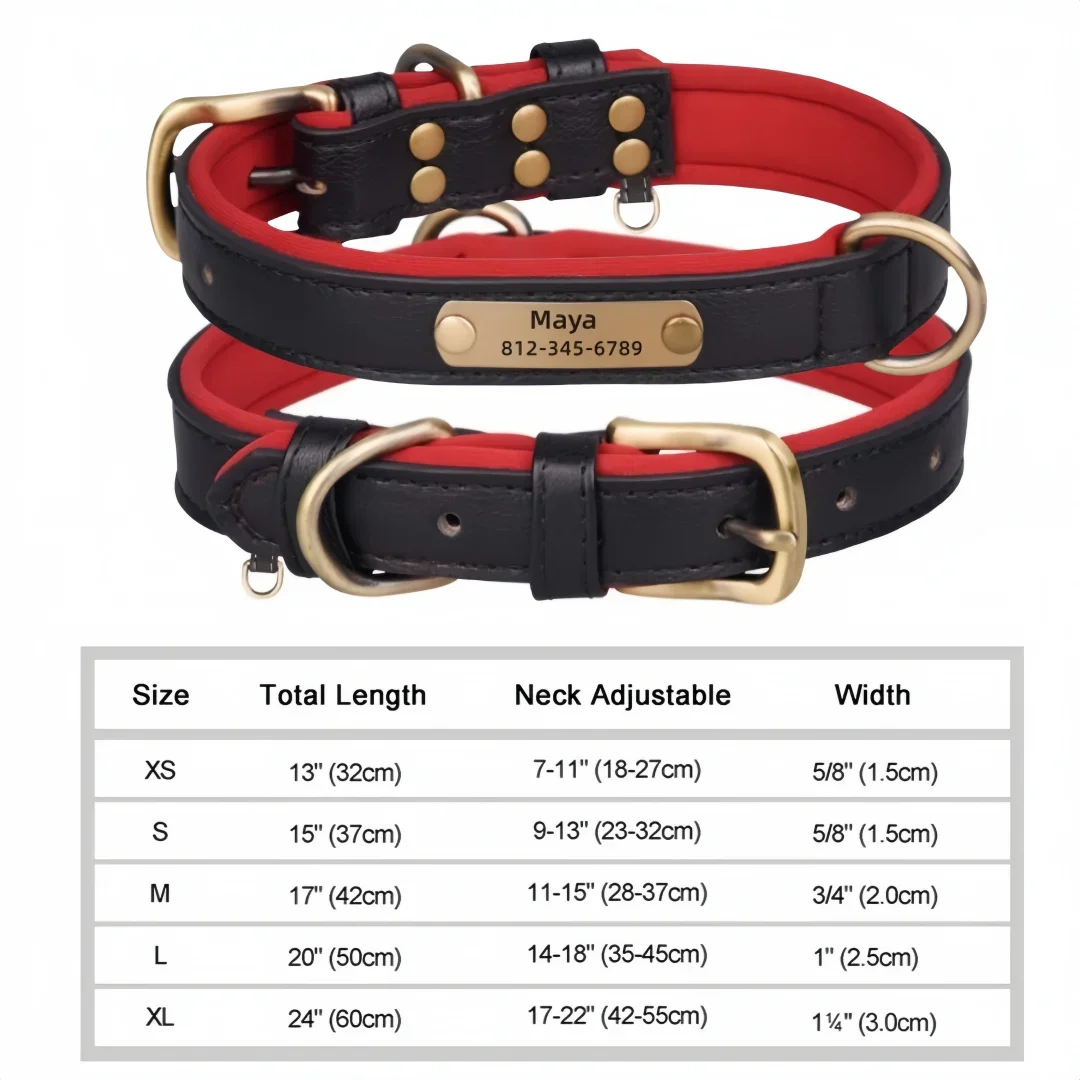 Soft Padded Leather Pet Collar For Small Medium Large Dogs Free Engraved Nameplate