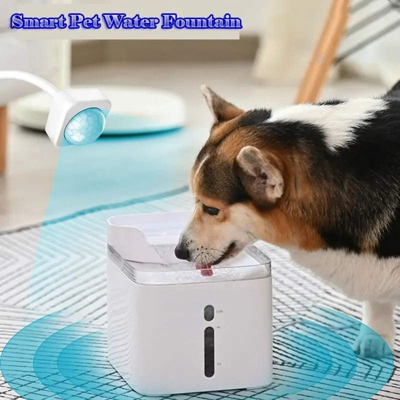 Smart Pet Drinking Water Filter Fountain Circulating Drinking Water