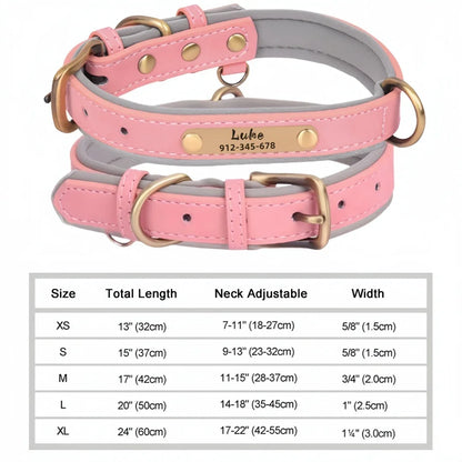 Soft Padded Leather Pet Collar For Small Medium Large Dogs Free Engraved Nameplate