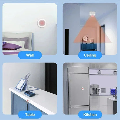Motion Sensor Smart Switch Pet Detector