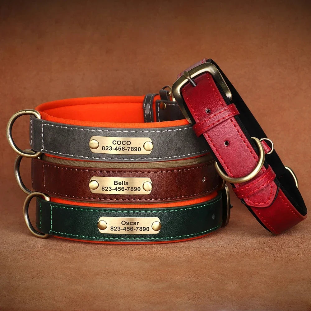 Soft Padded Leather Pet Collar For Small Medium Large Dogs Free Engraved Nameplate