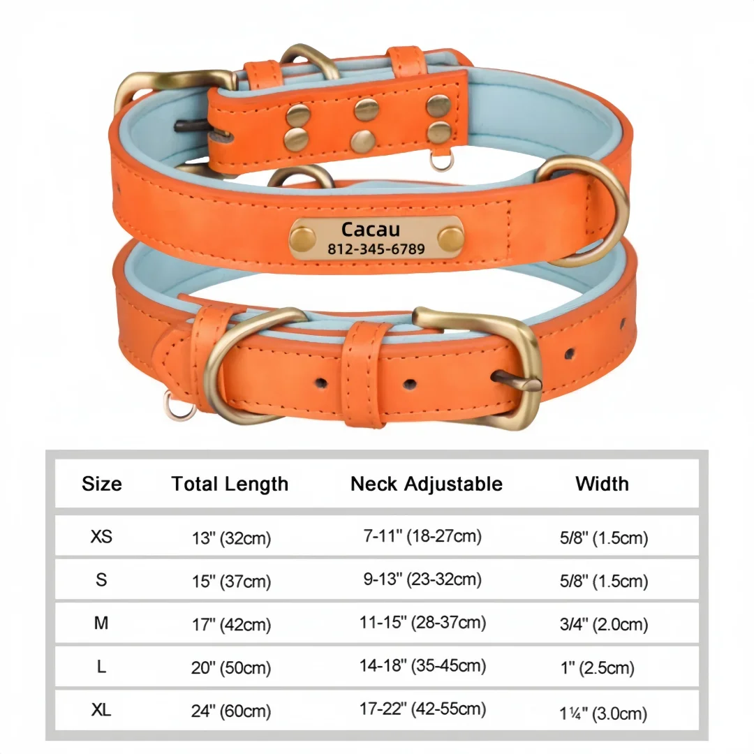 Soft Padded Leather Pet Collar For Small Medium Large Dogs Free Engraved Nameplate