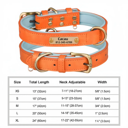 Soft Padded Leather Pet Collar For Small Medium Large Dogs Free Engraved Nameplate